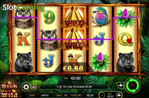 Скрин6. Rich n Wild слот