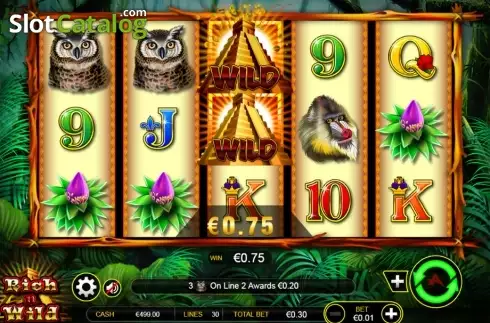 Скрин7. Rich n Wild слот