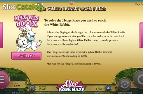 Скрин8. Alice of the Rose Maze слот