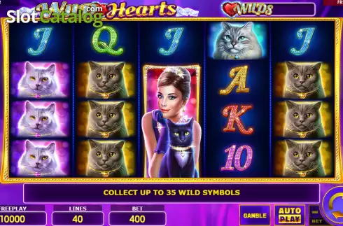 Скрин2. Wild Hearts слот