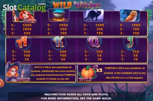 Скрин6. Wild Witches (Amatic Industries) слот