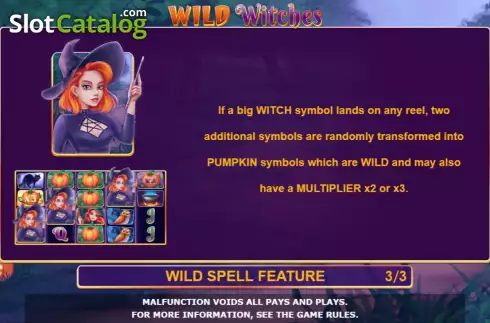 Скрин9. Wild Witches (Amatic Industries) слот