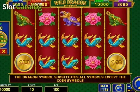Скрин2. Wild Dragon Hold & Win слот