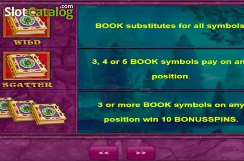 Скрин4. Book of Fortune слот