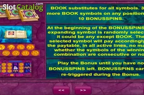 Скрин5. Book of Fortune слот