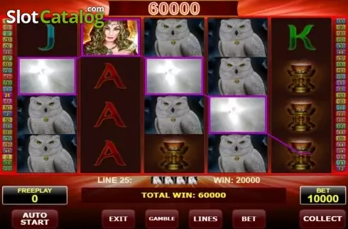Скрин8. Magic Owl слот