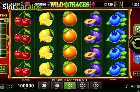 Скрин2. Wild Traces слот