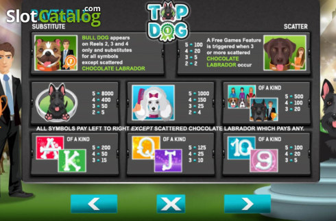 Скрин6. Top Dog слот