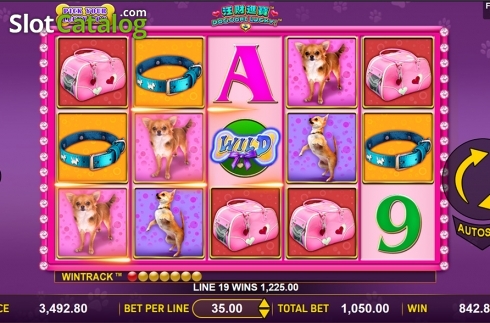Скрин2. Doggone Lucky слот