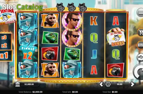 Скрин2. Ace Ventura Pet Detective Ultranudge слот