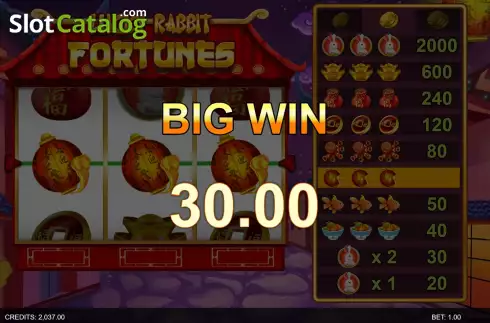 Скрин6. Lucky Rabbit Fortunes слот