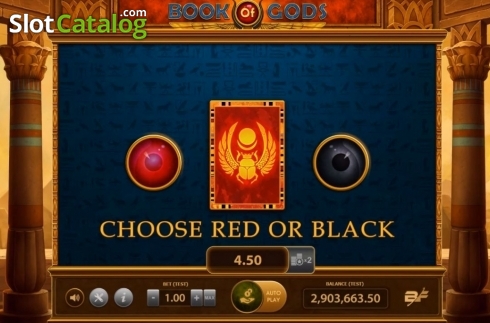 Скрин4. Book of Gods (BF games) слот