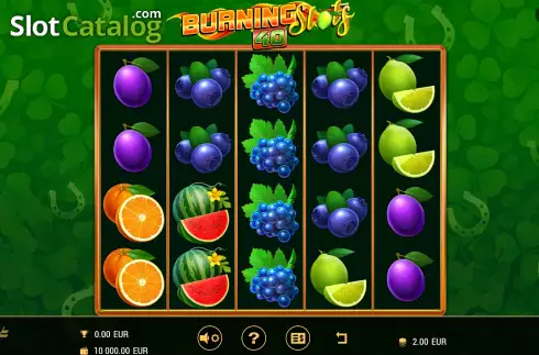 Скрин3. Burning Slots 40 слот