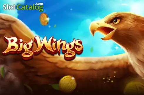 Big Wings логотип
