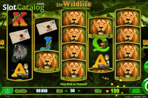Скрин3. The Wildlife слот