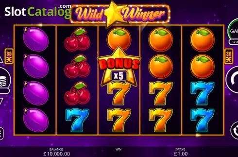 Скрин3. Wild Winner слот