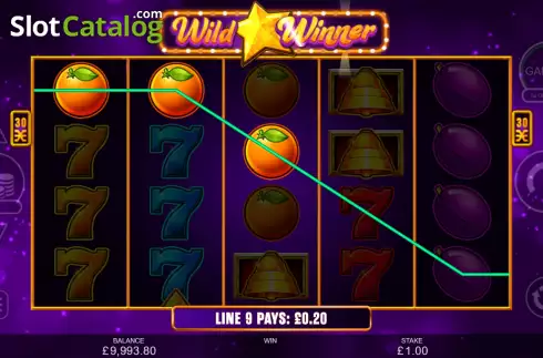 Скрин4. Wild Winner слот