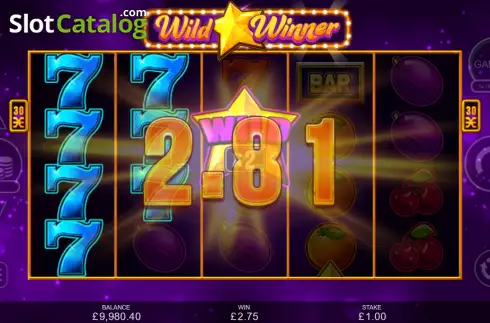 Скрин5. Wild Winner слот