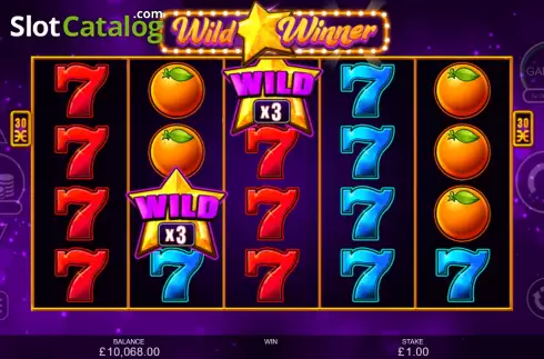 Скрин6. Wild Winner слот