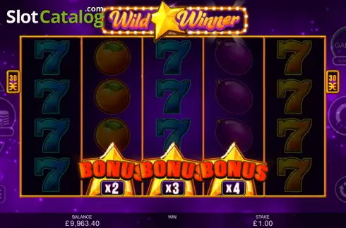Скрин9. Wild Winner слот