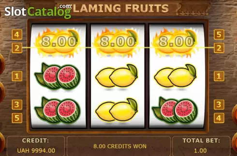 Скрин3. Flaming Fruits (Betinsight Games) слот