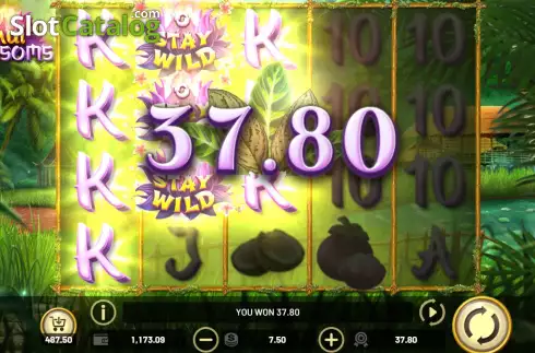 Скрин5. Thai Blossoms слот