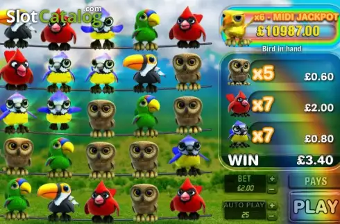 Скрин3. Feathered Frenzy слот