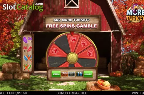 Скрин8. More Turkey слот
