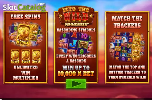 Скрин2. Into The Wild Megaways слот