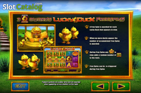 Скрин4. Lucky Duck  слот