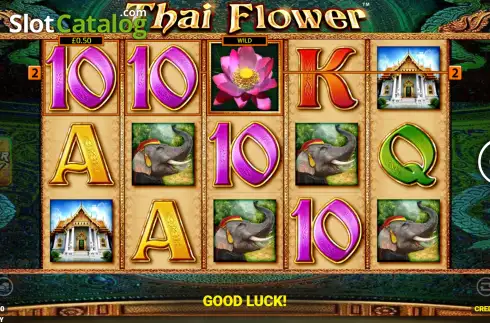 Скрин3. Thai Flower Power Play слот