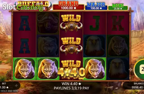 Скрин6. Buffalo Hold and Win слот