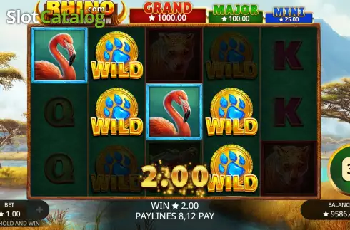 Скрин5. Rhino Hold and Win слот
