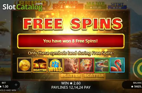 Скрин7. Rhino Hold and Win слот