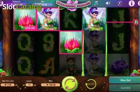 Скрин7. Wondrous Garden слот