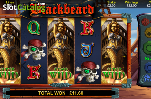Скрин6. Blackbeard (Bulletproof Games) слот