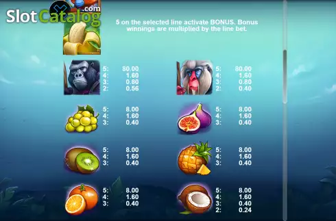 Скрин7. Monkey Kingdom слот