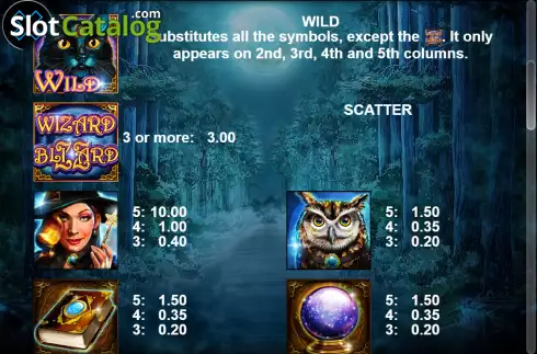 Скрин7. Wizard Blizzard x5 слот