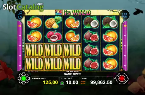 Скрин3. Colibri Wild слот