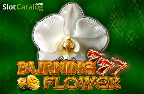 Burning Flower слот