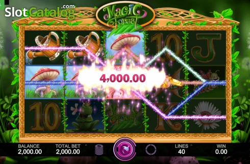Скрин3. Magic Forest (Caleta Gaming) слот