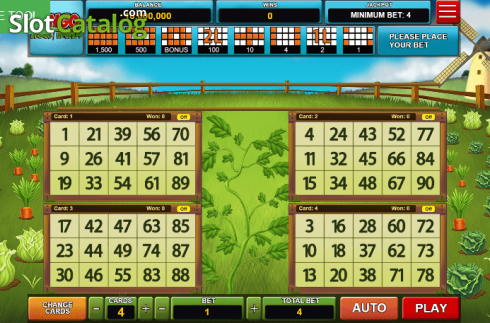 Скрин2. Bingo Hortinha слот