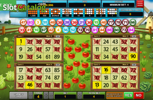 Скрин3. Bingo Hortinha слот