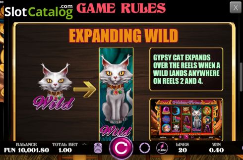 Скрин8. Madame Fortune (Caleta Gaming) слот