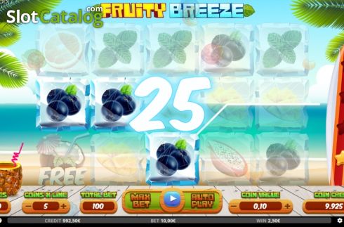 Скрин5. Fruity Breeze слот
