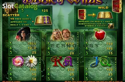 Скрин4. Book Of Wilds слот
