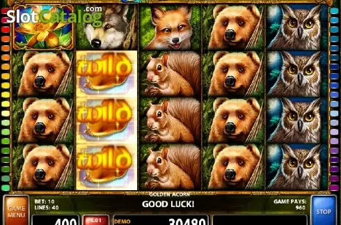 Скрин4. Golden Acorn слот
