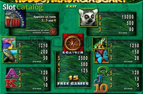 Скрин4. Hello, Madagascar! слот
