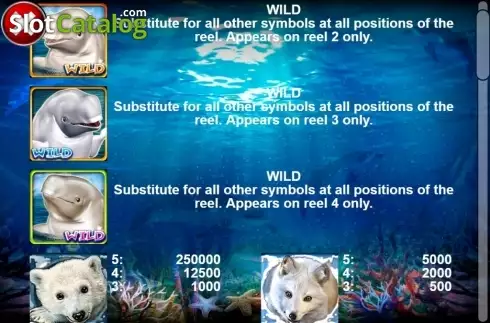 Скрин8. Jolly Beluga Whales слот