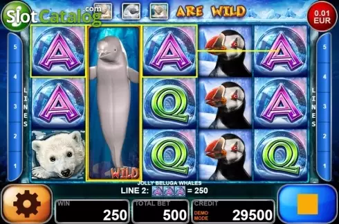 Скрин3. Jolly Beluga Whales слот